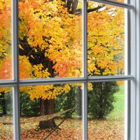 276 - Fall Window